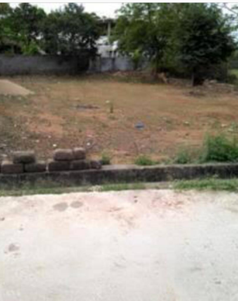 Plot For Sale In Sushant Lok 1